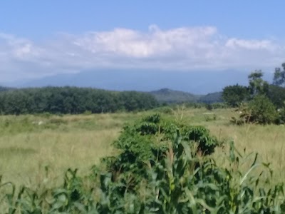 Photos of Estacion Shell