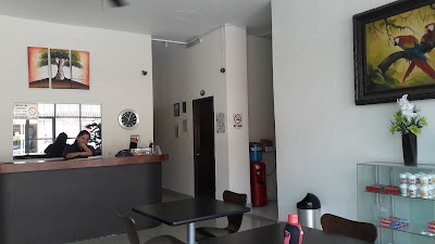 Photos of Hotel El Roble