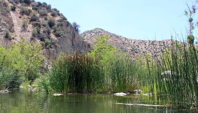 Deep Creek Hot Springs