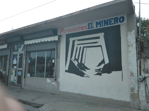Store El Minero