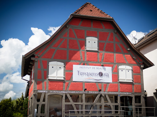 Terrasensoria - Thumbnail