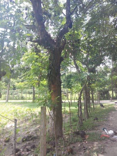 Photos of Agriculture Information and Communication Center
