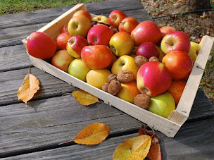 Photo n°3 de le verger de vergnas à Vicq-sur-Breuilh (Magasin d'alimentation naturelle)