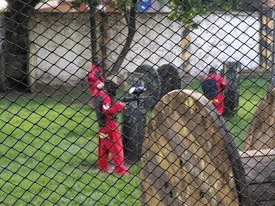 Photos of Warzone Paintball
