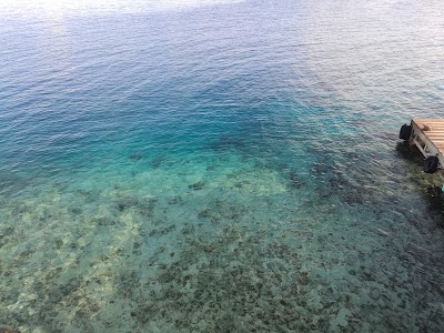 Photos of Utila Cays Diving