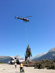 Photo n°12 de G.R.D.E. ELAGAGE ET TRAVAUX FORESTIERS à Échirolles (Service d'élagage)
