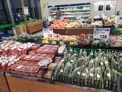 Sunny Mall Nishi Kasai Urayasu Shi Chiba 81 3 5676 19