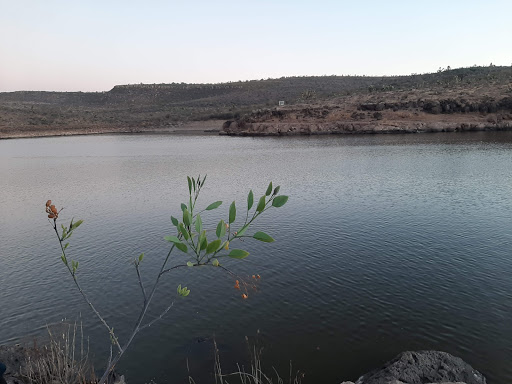Presa La Mesilla