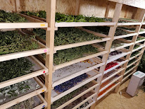 Fleurs, Feuilles & Fantaisies à Poilley