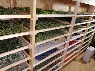 Photo n°1 de Fleurs, Feuilles & Fantaisies à Poilley (Magasin de fleurs séchées)