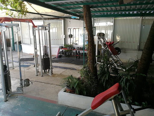 Gym Canaima / Kaly - Thumbnail