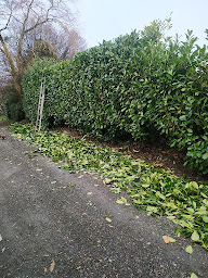 Photo n°13 de Verdier Nicolas à Blonville-sur-Mer (Paysagiste)