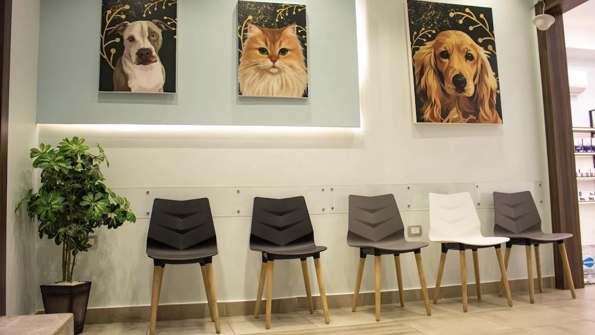 عيادة PUFFY PAWS البيطرية - صورة 4