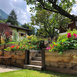 Photo n°4 de Cham Paysage à Chamonix-Mont-Blanc (Service d'élagage)
