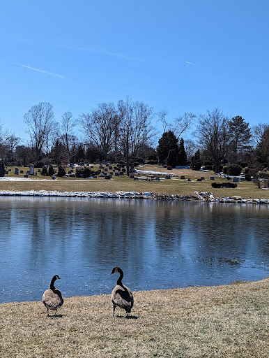 Rose Hill Burial Park - Thumbnail