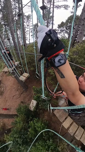 Adrenalin Forest Auckland - Bombay