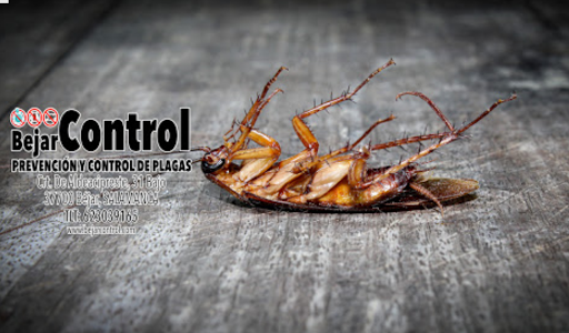 BejarControl - Visual