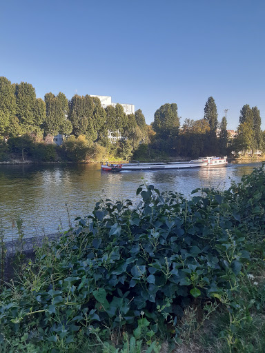 parc de Lattre de Tassigny