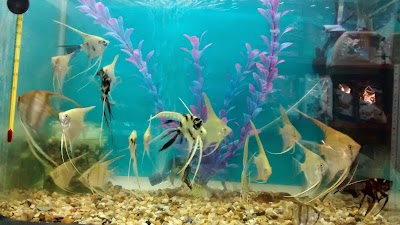 Photos of Veterinaria Paticas Madrid