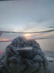 Photo n°24 de Pêcheur 