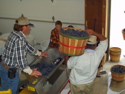 Photos of Valentino Vineyards & Winery