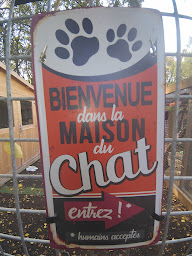 Photo n°1 de Des patounes félines et canines à Vanzay (Éleveur de chats)