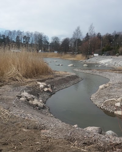 Photos of Villa Kivi