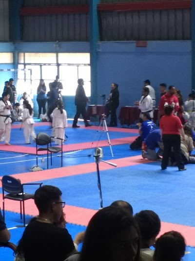 Photos of Cancha Hockey Pepey Gimnasio Hermogenes Lizana