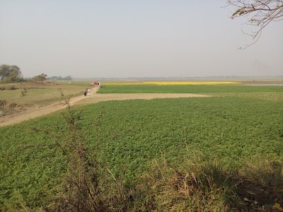 Photos of Sidakali Kalibari