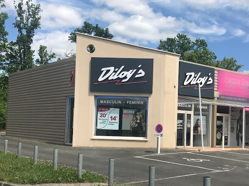 Diloy's Montayral