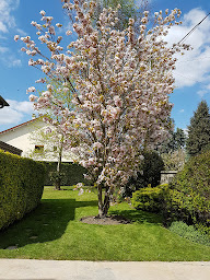 Photo n°10 de AG. PAYSAGISTE à Gagny (Jardinier)