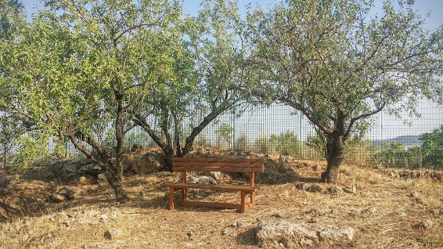 Morgantina Archaeological Site