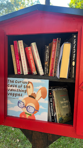 Flanigan – Little Free Library - Thumbnail
