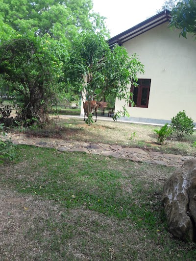 Photos of Amaya Riverside Hotel