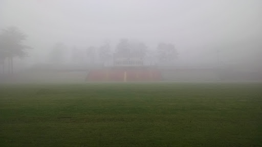 Abbott Stadium - Visual