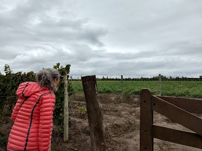 Photos of Caba&ntilde;a Mam&uuml;ll
