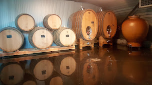 Photo n°3 de VIGNOBLES DE PYRENAIA à Mazères-Lezons (Caviste)