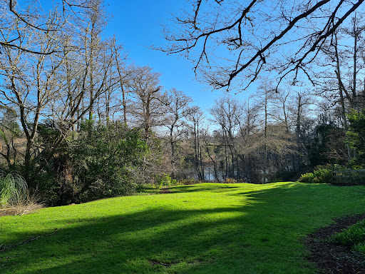 Te Awa Park - Thumbnail