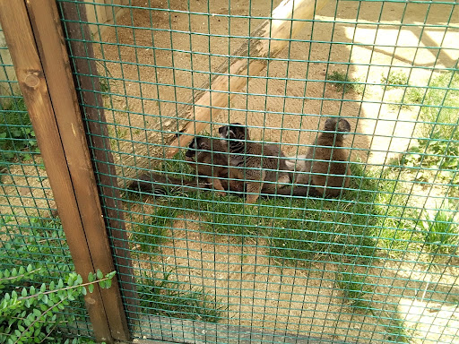 Zájezd Zoo - Thumbnail