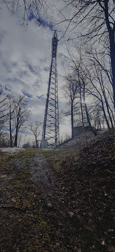 Rockenstuhl - Visual