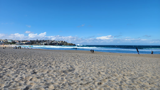 Bondi Murals - Thumbnail