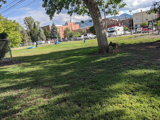 Old Town Bark Park - Thumbnail