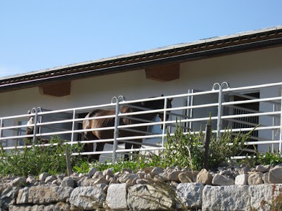 travel-agency