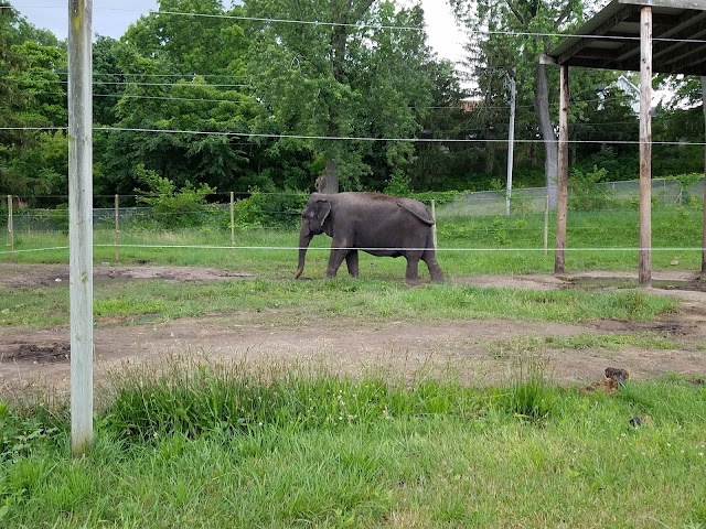 Circus World
