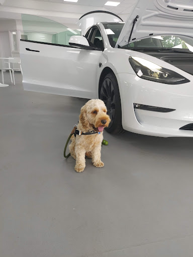 Tesla Nottingham Sales & Service - Thumbnail