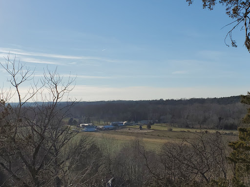 Clearview Park - Visual