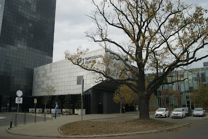 Wytwórnia Kino 3D