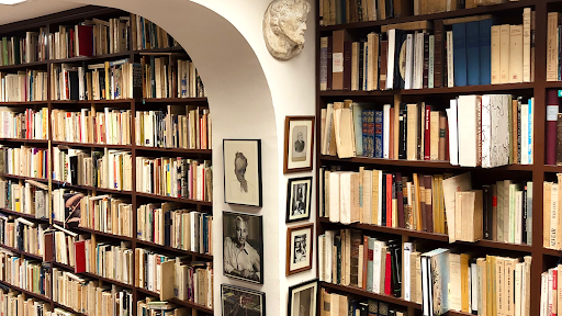 Librería Dedalus - Visual
