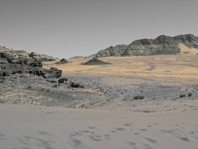 Photos of Wadi Rum Protected Area Camp