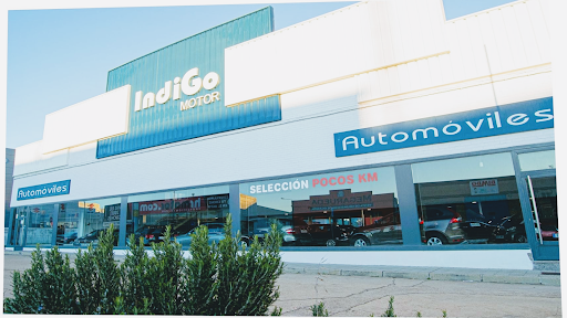 Indigo Motor - Visual